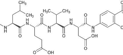 Caspase-4 Assay Kit