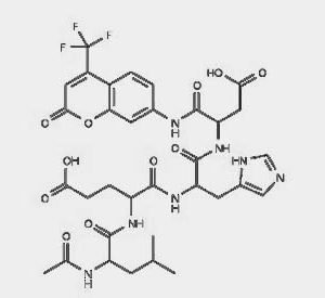Caspase-9 Assay Kit