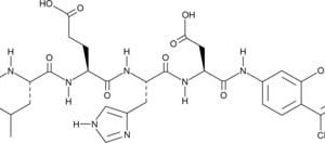 Caspase-9 Assay Kit
