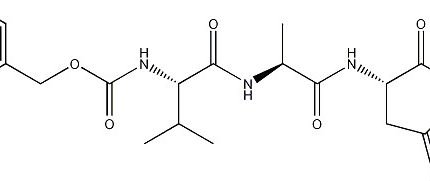 Caspase General Inhibitor (Z-VAD-FMK) [1mM]