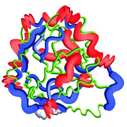 Pepsin Digestion Kit