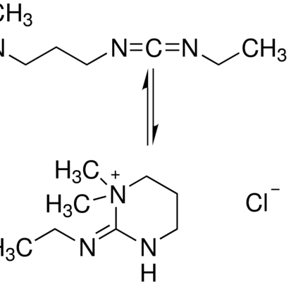 EDC (1-Ethyl-3-[3-dimethylaminopropyl]carbodiimide hydrochloride)