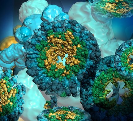 KLH (Keyhole Limpet Hemocyanin) (Immunological Grade)