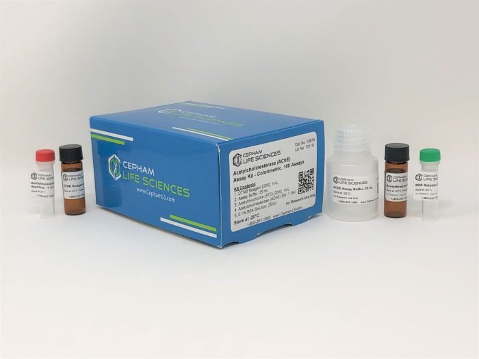 Acetylcholinesterase Assay Kit - Image 1