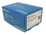Alamar Blue Cell Viability Assay - Image 4