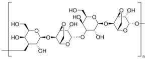 Agarose MS (Molecular Screening)