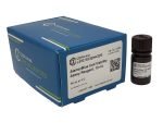 Alamar Blue Cell Viability Assay - Image 2