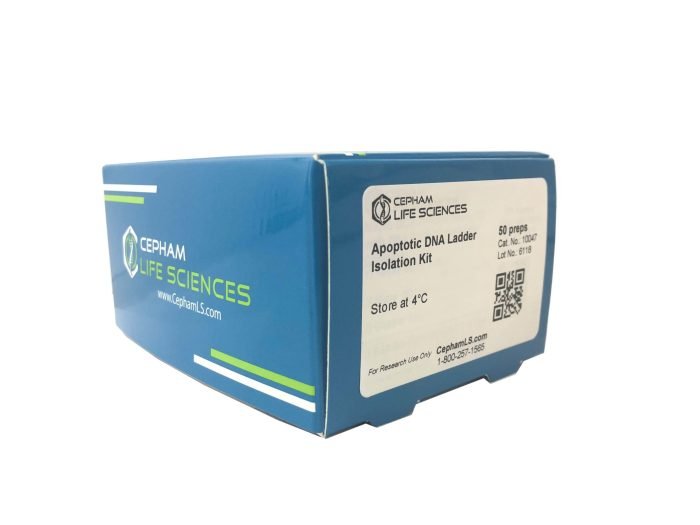 Apoptotic DNA Ladder Isolation kit - Image 1