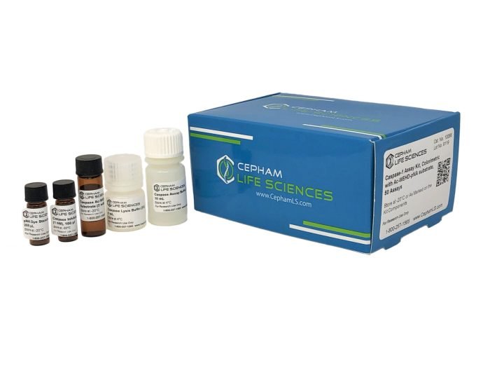 Caspase-1 Assay Kit Colorimetric - Image 2