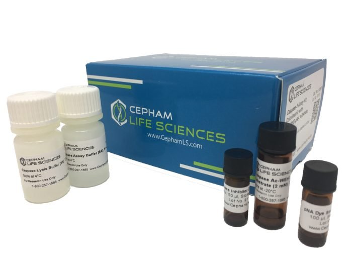 Caspase-1 Assay Kit Colorimetric - Image 1