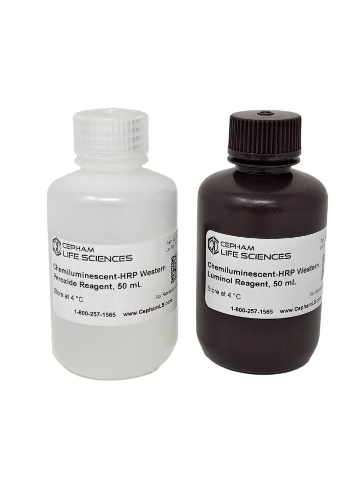 Chemiluminescent-HRP Western Blot Substrate - Image 2