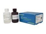 Chemiluminescent-HRP Western Blot Substrate