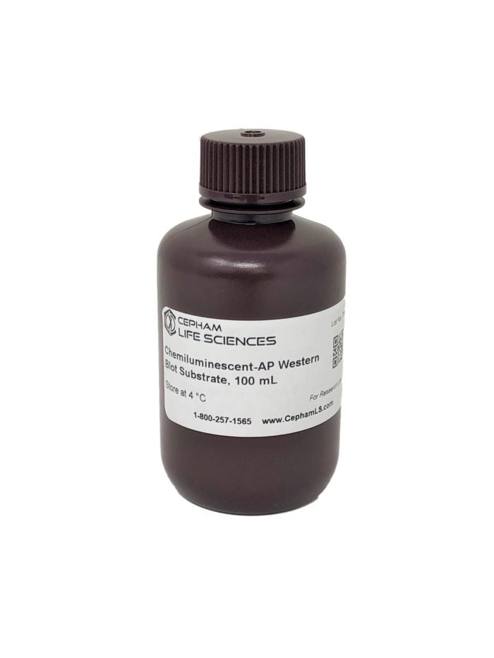 Chemiluminescent-AP Western Blot Substrate - Image 2