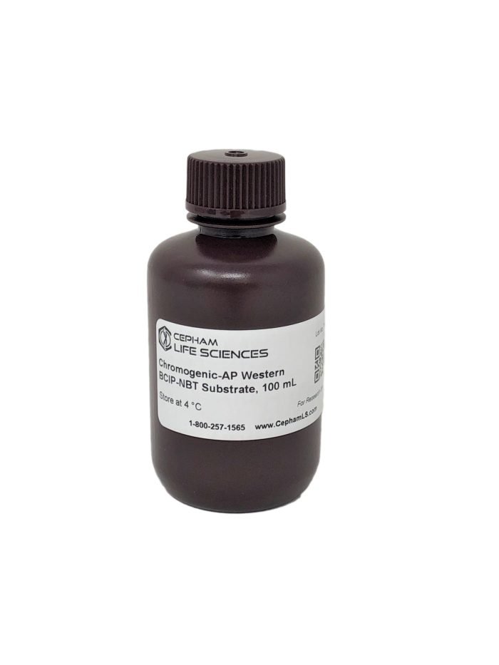 Chromogenic-AP Western Blot substrate - Image 2