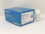 CTAB Extraction Buffer
