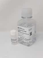 CTAB Extraction Buffer - Image 2
