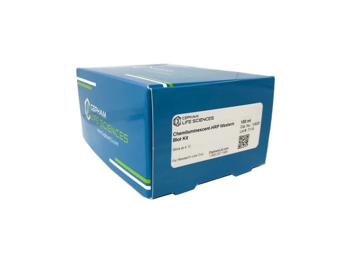 Chemiluminescent-HRP Western Blot Kit - Image 2