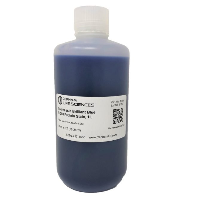 Coomassie R-250 Protein Stain - Image 1