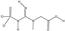 Creatine phosphate
