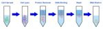 Genomic DNA Extraction Kit - Gram(+) Bacteria / Yeast / Fungi - Image 2