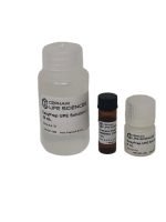 Universal Protein Extraction Kit with Protease Inhibitor Cocktail - Image 3