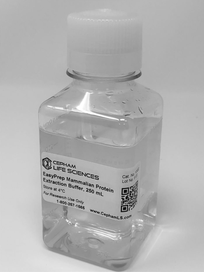 Mammalian Cell Protein Extraction Buffer - Image 1