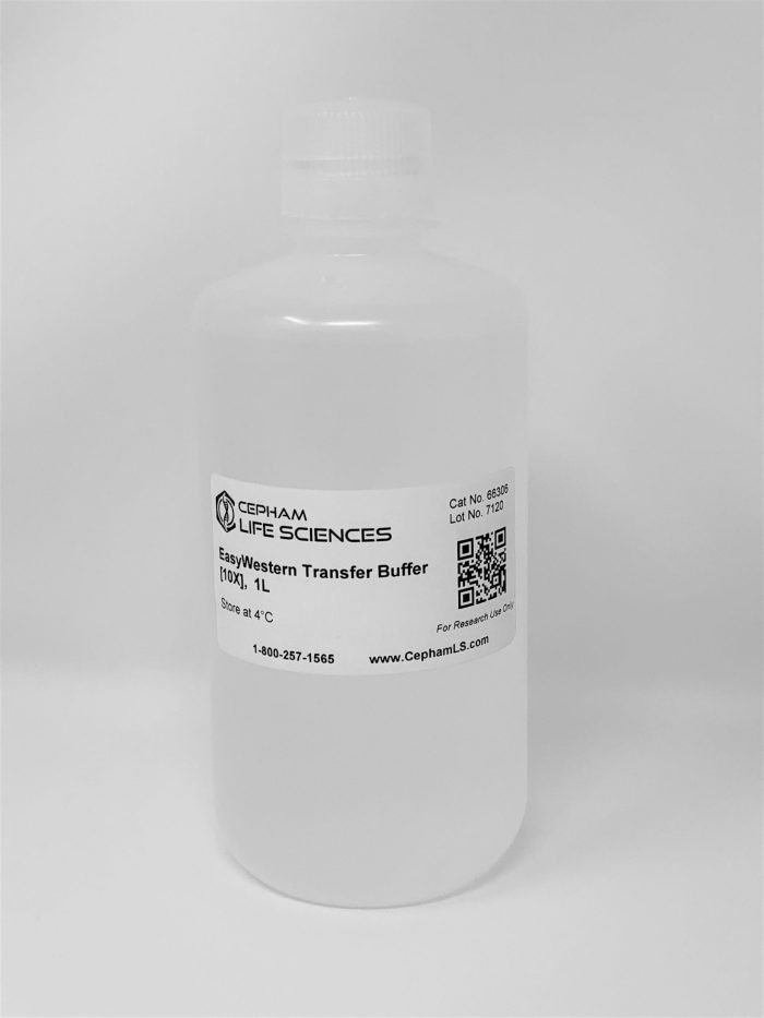 Western Transfer Buffer [10X] - Image 1