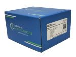 Genomic DNA Extraction Kit - Gram(+) Bacteria / Yeast / Fungi