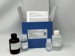SRB Cytotoxicity Assay Kit, Colorimetric - Image 4