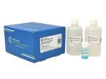 Micro BCA Protein Assay Kit