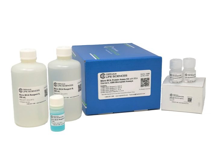 Micro Bicinchoninic Acid (BCA) Protein Assay with BSA Protein Standard - Image 1