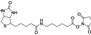 NHS-LC-Biotin