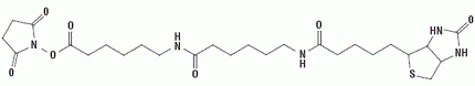 NHS-LC-LC-Biotin