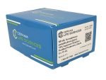 NP-40 Purified Proteomic Grade - Image 2