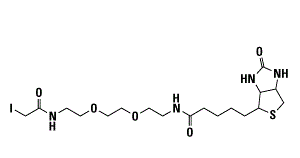 Iodoacetyl-PEG2-Biotin