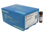 Phosphatase Inhibitor Cocktail-II [100X]