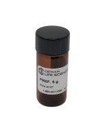 PMSF (Phenylmethylsulfonyl fluoride) - Image 2
