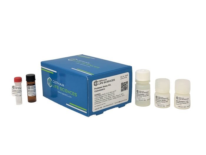 Protease Assay Kit - Image 1