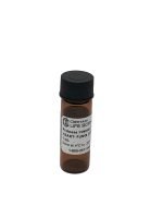 Protease Inhibitor Cocktail [100X], Yeast / Fungi - Image 3