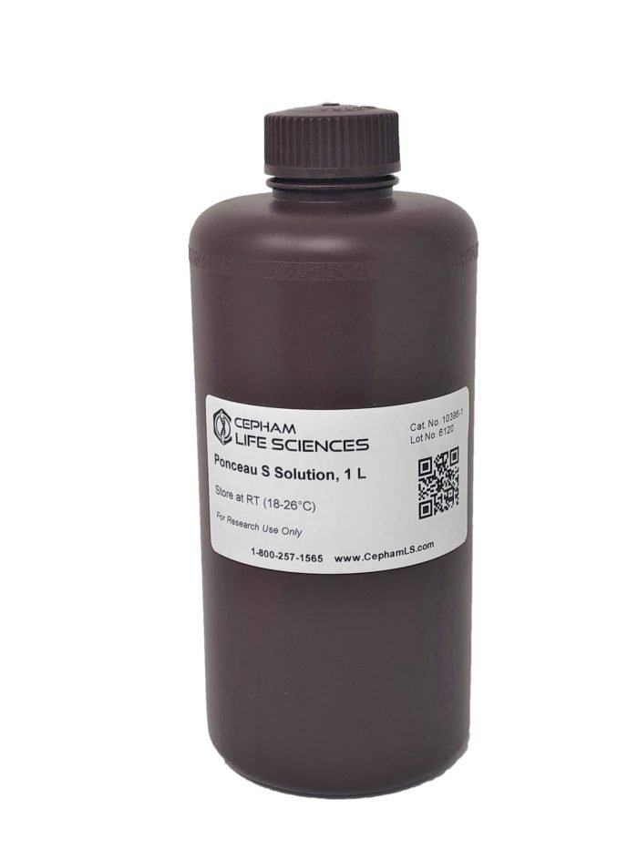 Ponceau S Solution - Image 3