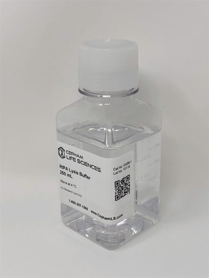 RIPA Lysis Buffer - Image 2