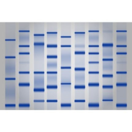 LDS Sample Buffer [4X]