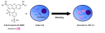 SRB Cytotoxicity Assay Kit, Colorimetric - Image 2