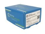 EasyPrep LPS Extraction kit - Image 2