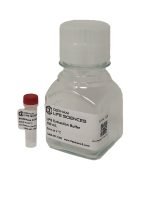 EasyPrep LPS Extraction kit - Image 3