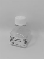 RBC Lysis Buffer (10X) - Image 2
