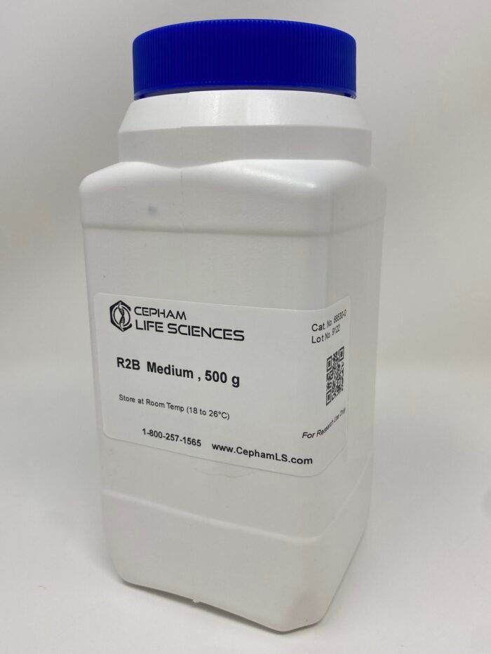 R2B - Image 1