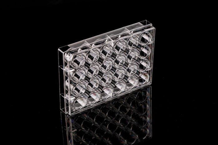 24 Well Cell Culture Plate, Flat, TC, sterile 1/pk, 50/cs - Image 1