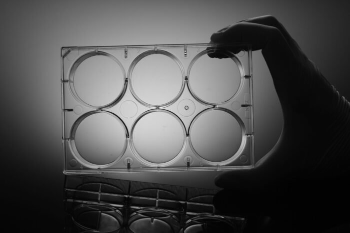 6 Well Cell Culture Plate,Flat,Non-Treated, sterile 1/pk, 50/cs - Image 1