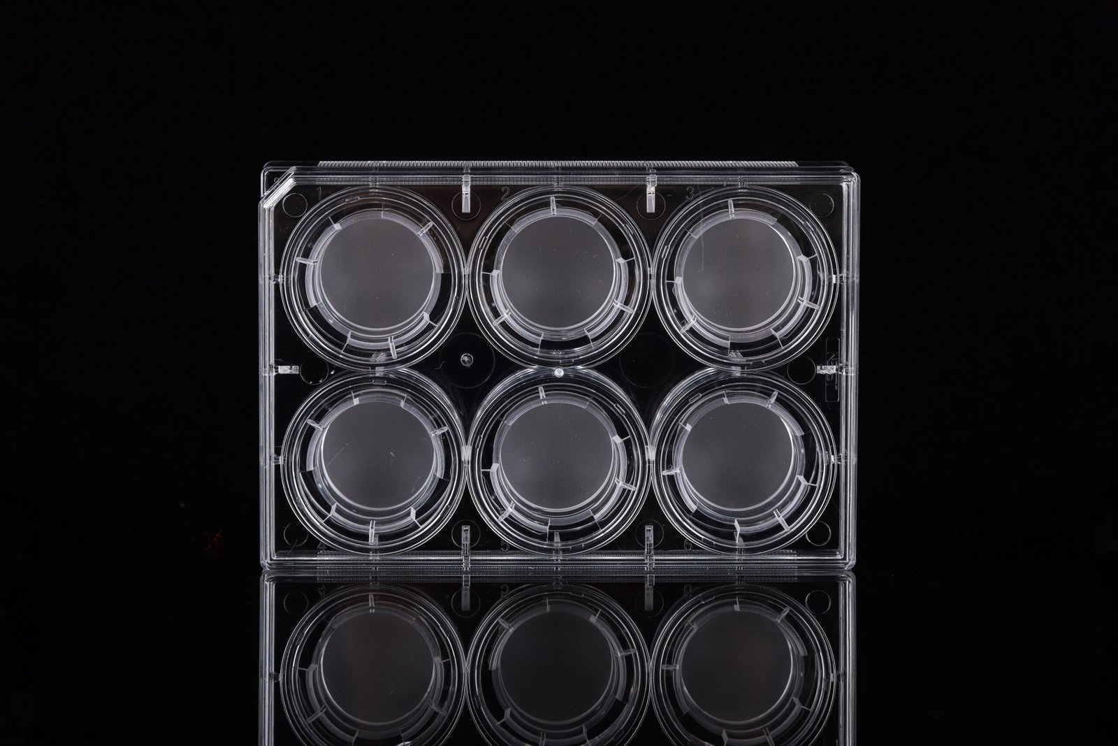 723011-scaled-1.jpg 6 Cell Culture Inserts+6 Well Plate, 3 ?m, PC Membrane, Non-Treated, Sterile, 6/pk, 60/cs - Image 1